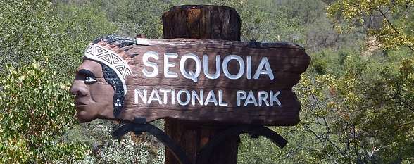Sequoia National Park